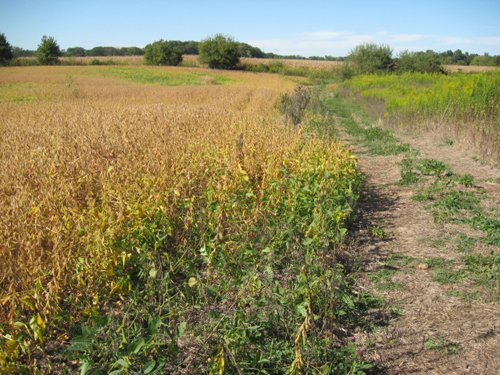 Property photo 37 - 80 Acres Offered in 4 Tracts - Horse Farm